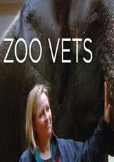 Vétérinaires au zoo