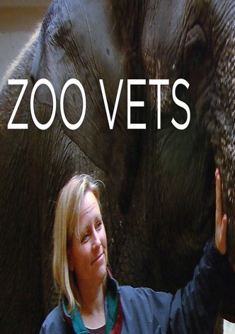 Vétérinaires au zoo