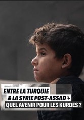 BETWEEN TURKEY AND POST-ASSAD SYRIA: WHAT FUTURE FOR THE KURDS OF ROJAVA?