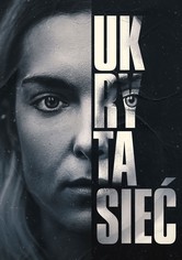 Ukryta sieć