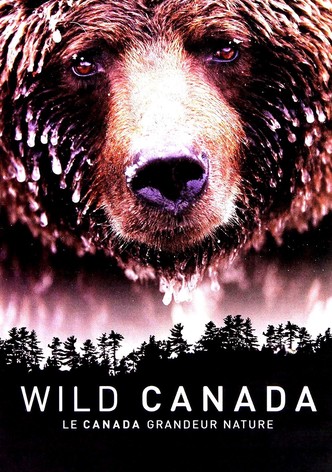 Wild Canada