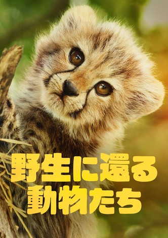 野生に還る動物たち