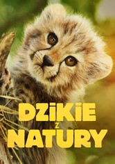 Dzikie z natury - Sezon 1