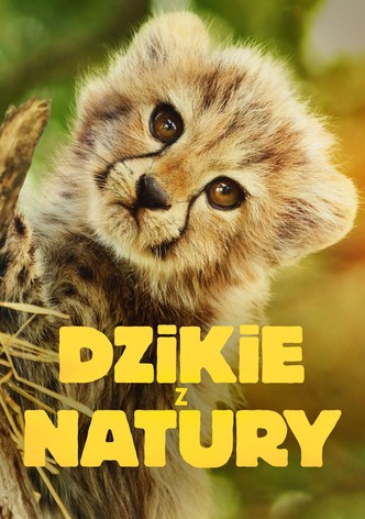 Dzikie z natury - Sezon 1