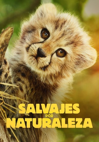 Salvajes por naturaleza - Σεζόν 1