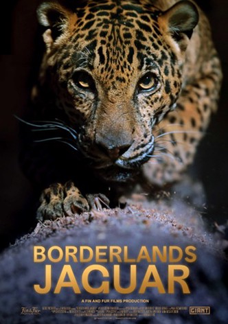Borderlands Jaguar