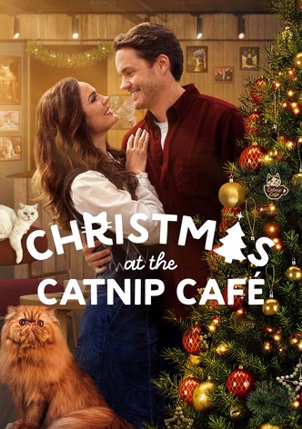 Christmas at the Catnip Café