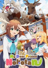 My Deer Friend Nokotan