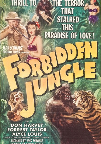 Tawa -El rey de la selva-