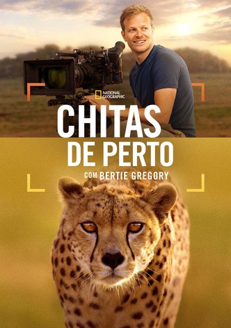 Cheetahs Up Close with Bertie Gregory