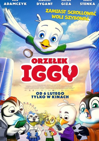 Orzełek Iggy