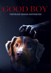 Good Boy - Trust His Instincts