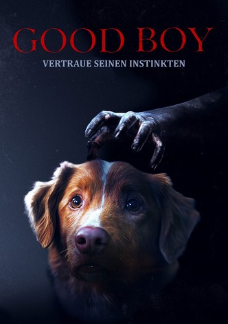 Good Boy - Trust His Instincts