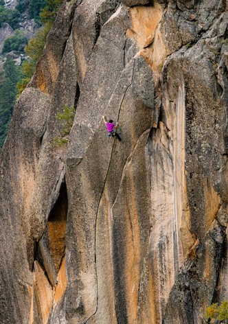 The Traditionalist - Chapter One