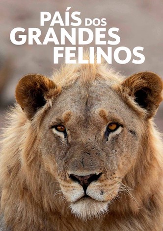 País de Grandes Felinos