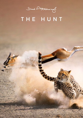 The Hunt