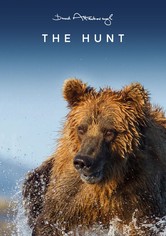 La caza - Temporada 1