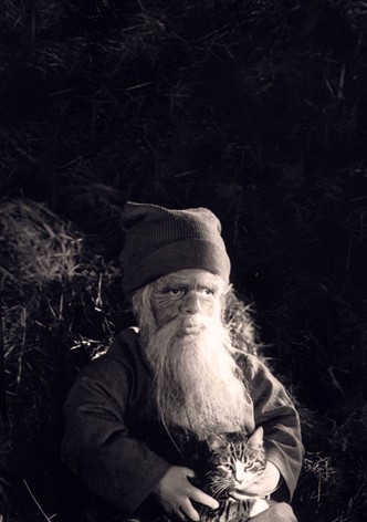 Tomten: A Winter Tale