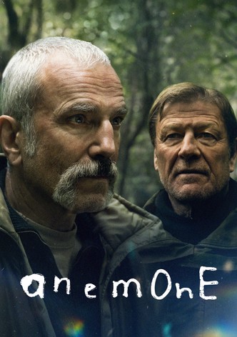 Anemone