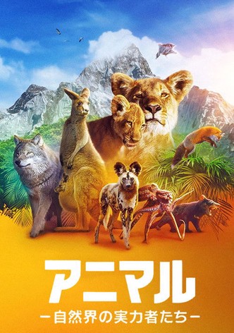 アニマル －自然界の実力者たち－