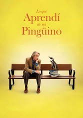 Lo que aprendí de mi pingüino