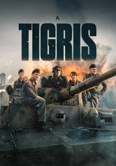A Tigris