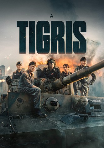 A Tigris
