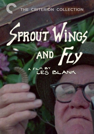 Sprout Wings and Fly