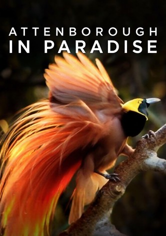 Attenborough in Paradise