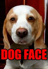 Dogface