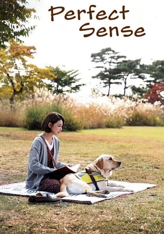 Perfect Sense
