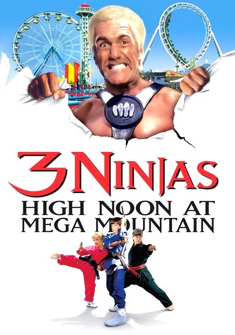 3 Ninja Kids - Mission Freizeitpark