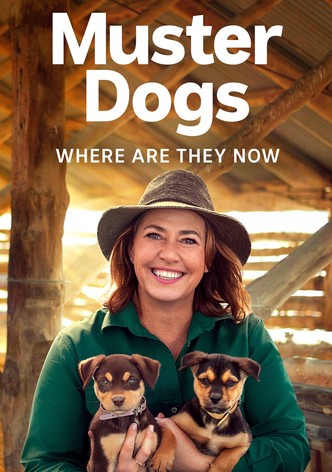 Muster Dogs: Where Are They Now - Season 2
