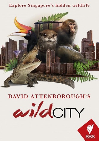 David Attenborough's Wild City - موسم 1