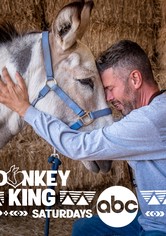 Donkey King
