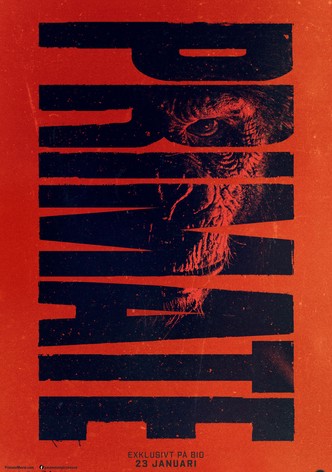 Primate