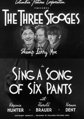 Шесть пар штанов