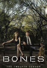 Bones