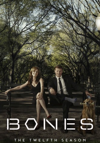 Bones - Season 12
