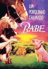 Um Porquinho Chamado Babe