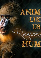 Animals Like Us
