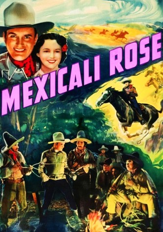 Mexicali Rose