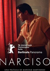 Narciso