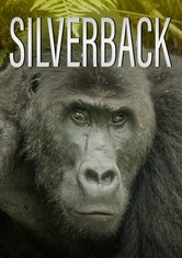 Silverback