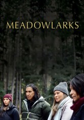 Meadowlarks