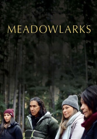 Meadowlarks