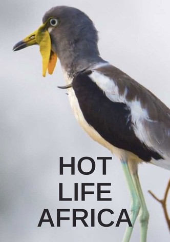 Hot Life Africa - Season 1