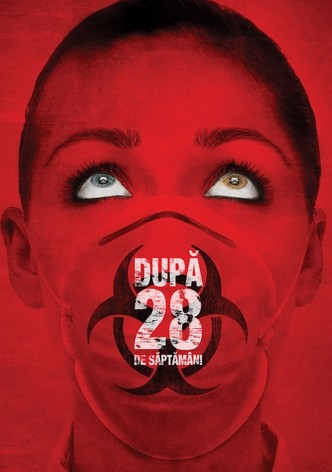 Dupa 28 de saptamani