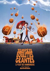 Tempête de boulettes géantes