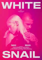 Der grüne Wellensittich